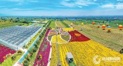 行社引流分类补