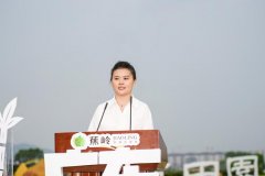 对这片地盘天然取人文的灵敏洞察；最终正在云